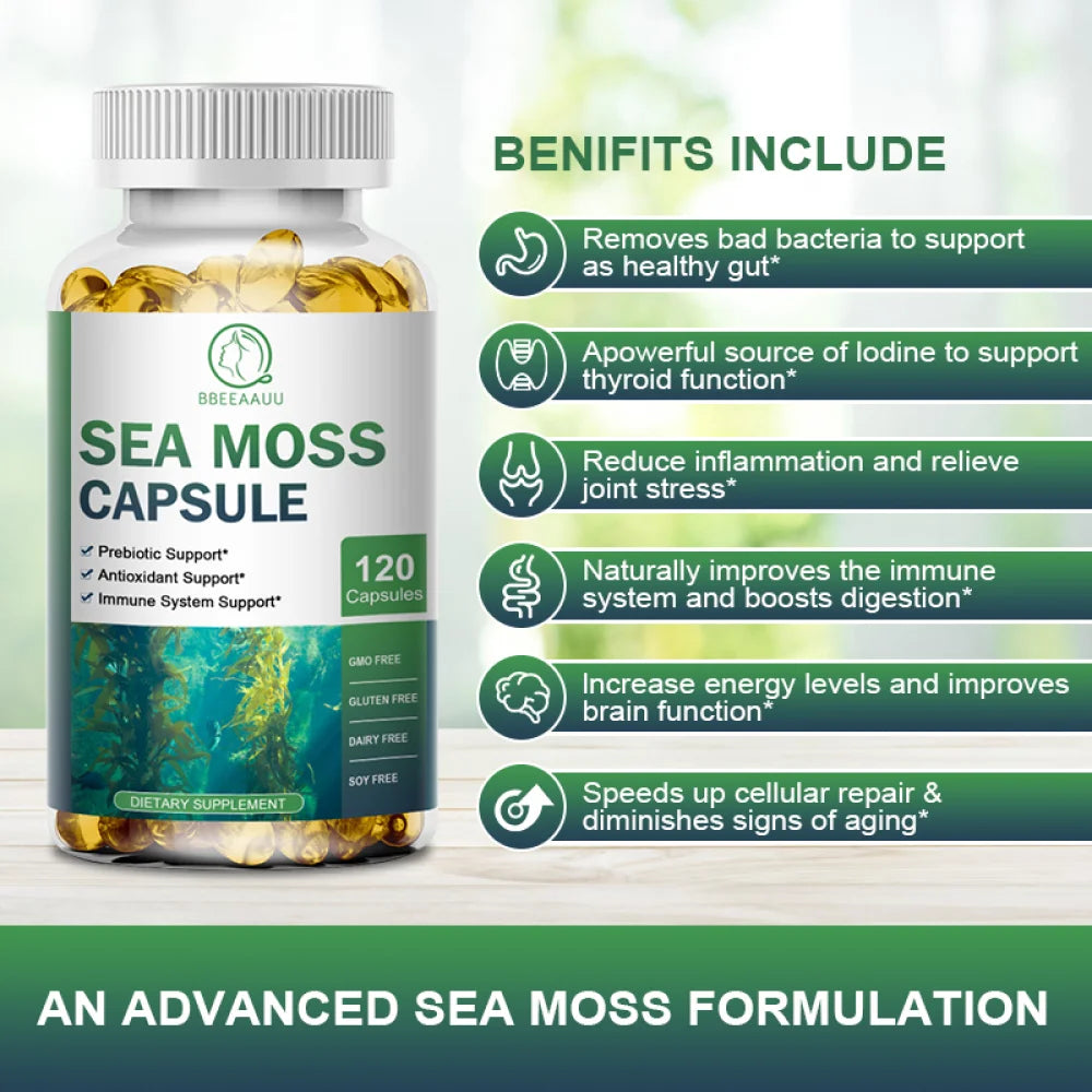 (2 PACK)Irish Sea Moss Capsules - 2000 mg - Made with Bladderwrack & Burdock Root - Seamoss Supplement for Thyroid, Energy, Immune Support, 240 CT