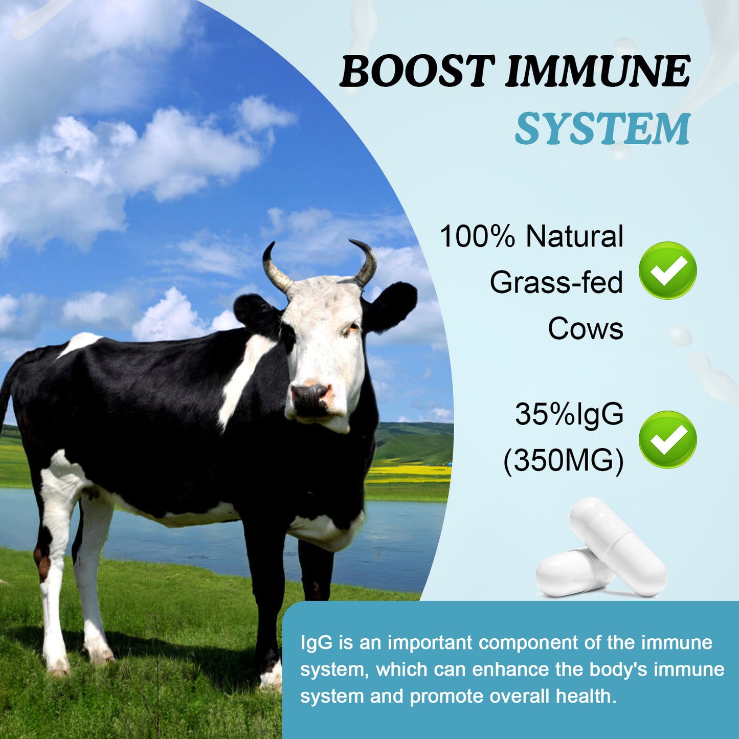 Bovine Colostrum Capsules