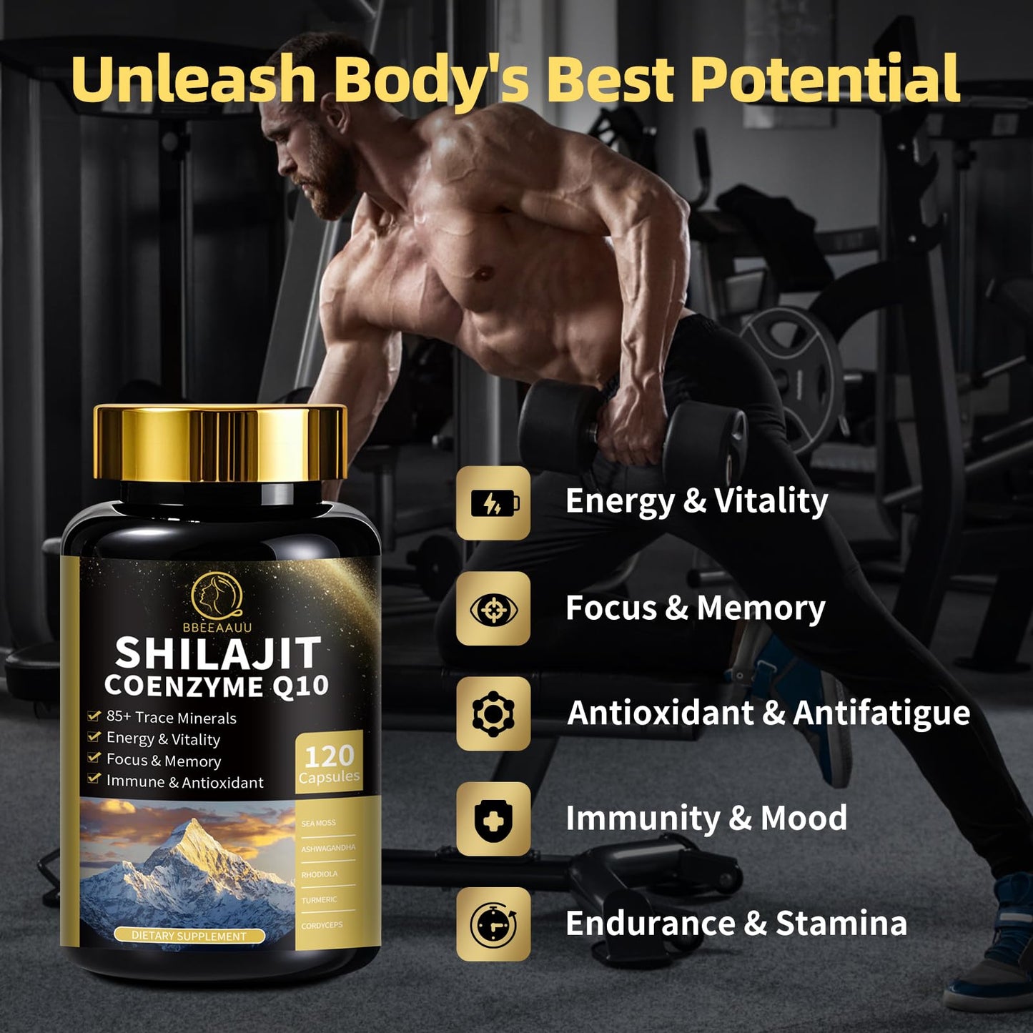 Shilajit Capsules with Sea Moss & Ashwagandha for Men & Women,12 in 1 Himalayan Shilajit Supplements with Coenzyme Q10, Fulvic Acid & Humic Acid, Lion's Mane, Energy & Immune, 120 Count, 2 Pack