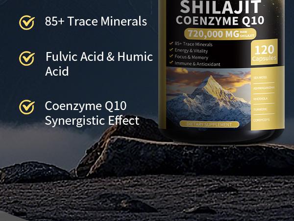 Shilajit Supplements for Men & Women,12 in 1 Himalayan Shilajit Capsules with Coenzyme Q10, Fulvic Acid & Humic Acid, Sea Moss, Lion's Mane Mushroom, Energy & Immune Support, 120 Counts