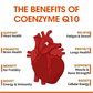 BEAU COQ10 Gummies Supplement, Ultra High Absorption CoQ10 500mg, Support Heart Health, Gluten Free (120 Vegan Gummies)