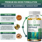 (2 PACK)Irish Sea Moss Capsules - 2000 mg - Made with Bladderwrack & Burdock Root - Seamoss Supplement for Thyroid, Energy, Immune Support, 240 CT