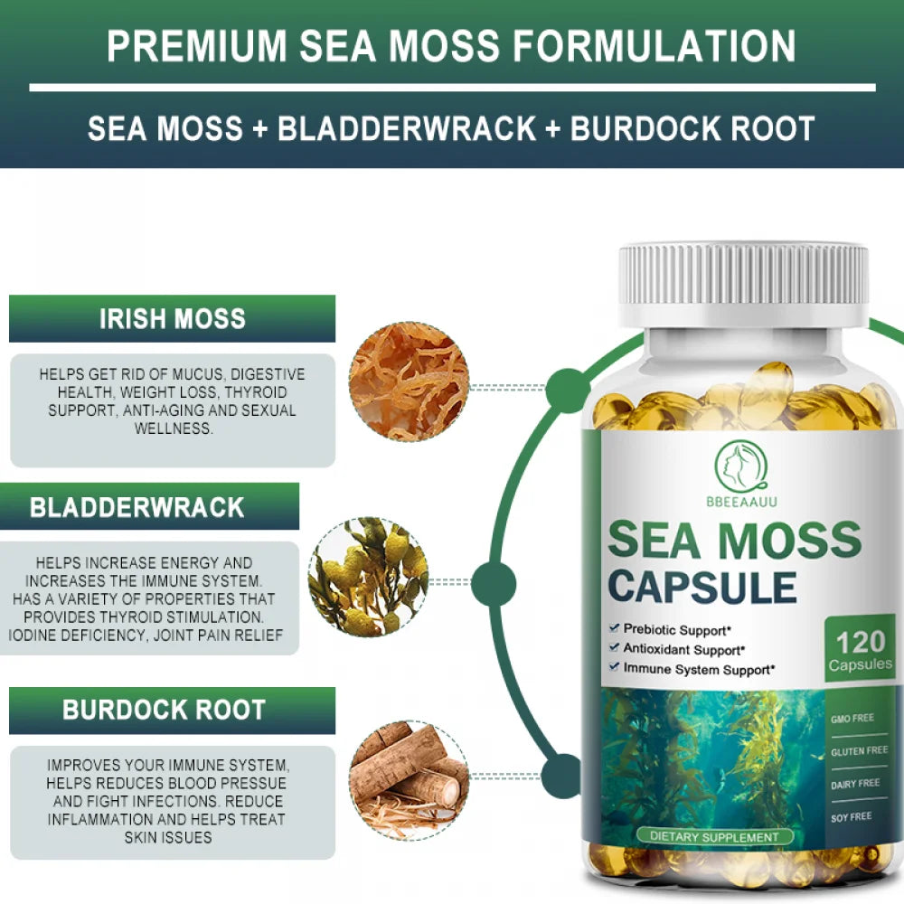 (2 PACK)Irish Sea Moss Capsules - 2000 mg - Made with Bladderwrack & Burdock Root - Seamoss Supplement for Thyroid, Energy, Immune Support, 240 CT