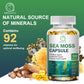 (2 PACK)Irish Sea Moss Capsules - 2000 mg - Made with Bladderwrack & Burdock Root - Seamoss Supplement for Thyroid, Energy, Immune Support, 240 CT
