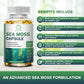 (2 PACK)Irish Sea Moss Capsules - 2000 mg - Made with Bladderwrack & Burdock Root - Seamoss Supplement for Thyroid, Energy, Immune Support, 240 CT