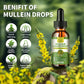 Mullein Liquid Drop Herbal Supplement, Mullein Drops for Lungs, Lung Detox & Cleanse, Mullein Leaf Extract Support Respiratory & Immune, 2 fl oz