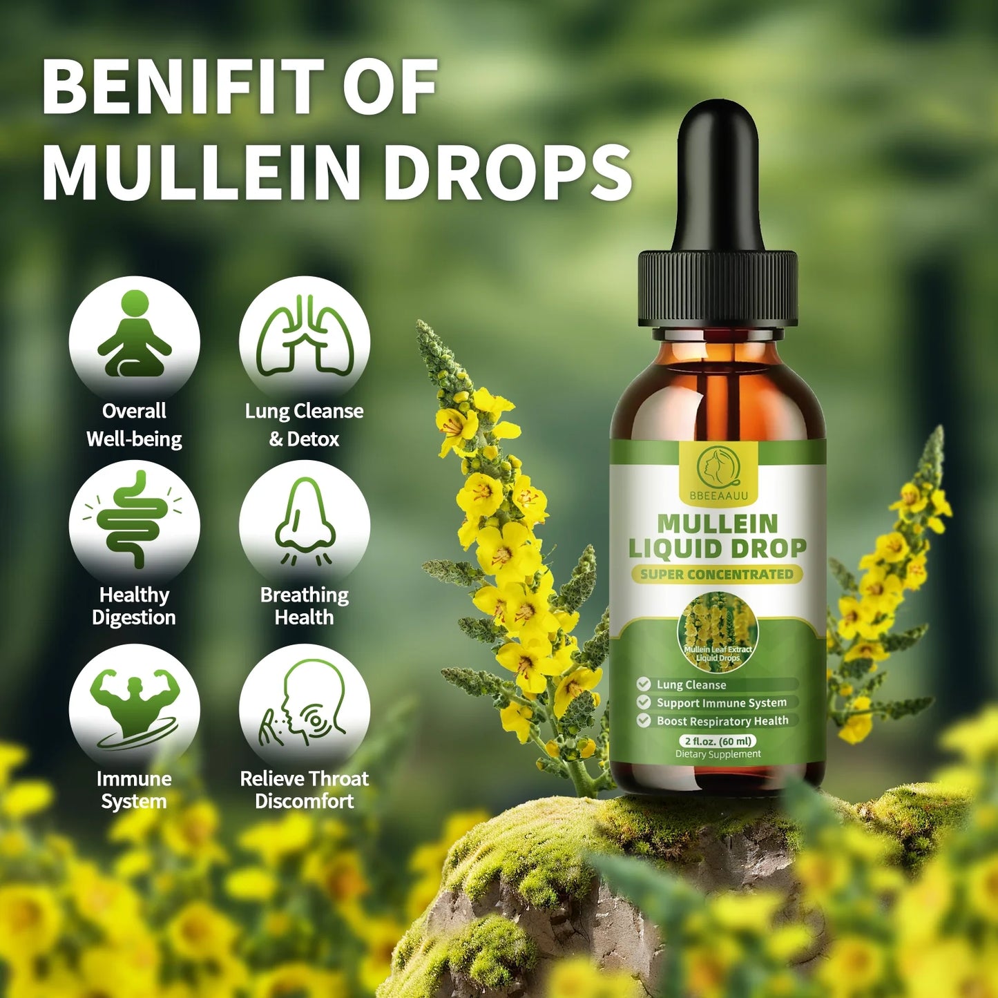 Mullein Liquid Drop Herbal Supplement, Mullein Drops for Lungs, Lung Detox & Cleanse, Mullein Leaf Extract Support Respiratory & Immune, 2 fl oz