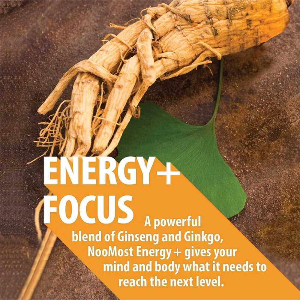 Ginseng + Ginkgo Biloba, Ginseng Root Extract Powder 1000mg (10% Ginsenosides) + Gingko Biloba 200mg, Energy and Focus Pills for Men and Women, 240 Vegan Capsules, 2 Pack