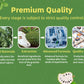 Soursop Graviola Oral Liquid High Absorption Soursop Guanabana Drink