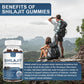 800 MG Shilajit Gummies, Organic Shilajit Gummies with 85+ Trace Minerals, Fulvic Acid, Shilajit for Men & Women, Shilajit Resin, Shilajit Himalayan Organic for Energy Immune Support